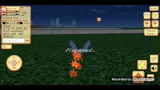 Играем с котами 🗿🤟