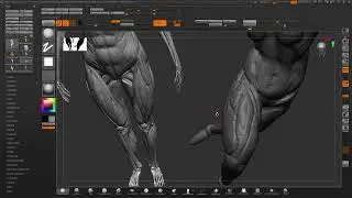 Getting Back into Sculpting Anatomy PART 5 - ZBRUSH