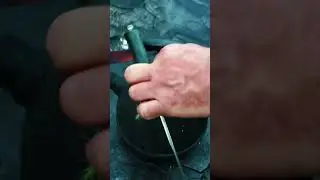 Путешествие путешествиями, а обед по расписанию | Дагестан.