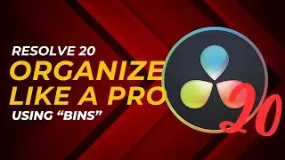 Unlock Pro Organization in DaVinci Resolve: It's All About Bins!