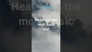 #15 Hearing is the most universal