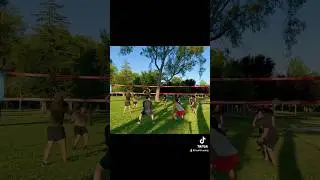 VOLLEYBALL HIGHLIGHTS 🏐 #volleyball #vball