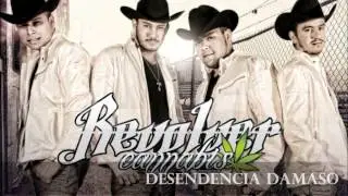 Desendecia Damaso - Revolver Cannabis - ESTUDIO (2012-2013)
