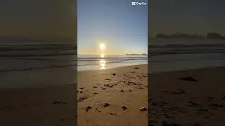 Australian Sunrise Irl Stream Highlights #beach #australianbeach #australiansunrise #irlstreamer