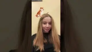 Bonk