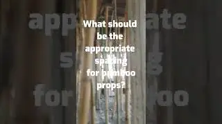 Bamboo Props in Construction #building #construction #casting #comment
