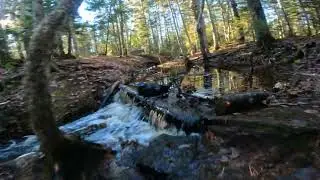 DOBSONN water