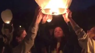 Fantastique. Festival des arts et des sciences. 2014. Loches