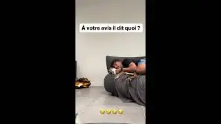 Que dit le chien d'Inoxtag 😂