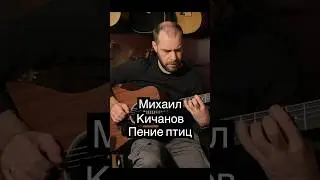 Михаил Кичанов - Пение птиц #shorts #shortvideo #guitar #acoustic #melody #music