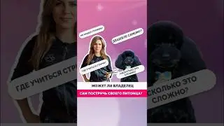 Может ли владелец быть грумером? Полный выпуск уже на канале!