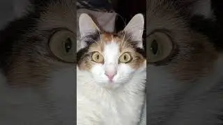 Я ЖЕЛАННАЯ ОСОБА!!!