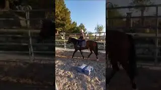 Ксюша на коні частина 1