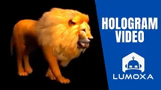 LION- 3D Animation for hologram / hélice holographique