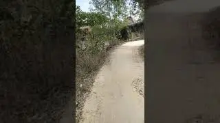 Wisata Toron Samalem Pamekasan