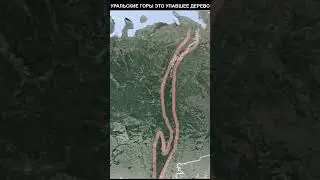 Уральские горы это упавшее дерево 