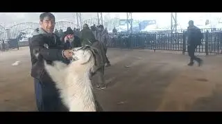 Мол бозори ш Вахдат 29 12 2023