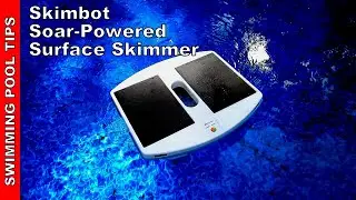 Dolphin Skimmi Automated Pool Skimmer