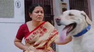 Mittu (Dog) | Man's Best Friend | MJ | (English Subs)