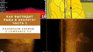 Как выглядит рыба в эхолоте. Часть 3. Скрины Lowrance Ti2 9