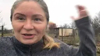 Латвийская зимняя прививка .   часть 3  Ответы на вопросы