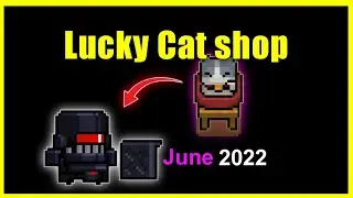 Soul Knight Lucky Cat shop Products in June 2022