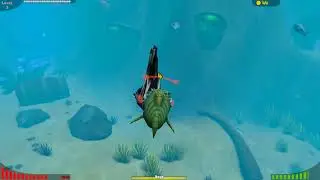 【模拟鱼】新魚!大頭mahi魚!初生父母慘死