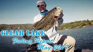 Clear Lake Fishing Report May 2017