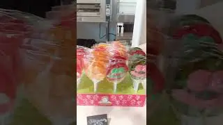 26 августа 2024 г.