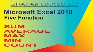 Sum, Average, Max, Min, Count Function in Ms Excel 2010