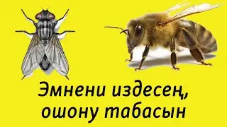 Дүйнөгө болгон эки көз караш | Орус тили текст аркылуу үйрөнүү