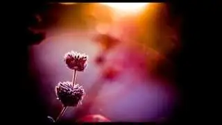 Ishq - Aphrodite