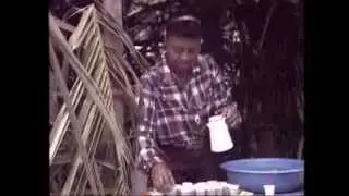 Cofradía Del Espíritu Santo de los Congos de Villa Mella