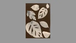 How To Make A Sepia Toned Image in Adobe Photoshop Elements