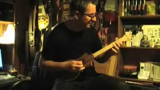 Wish You Were Here Intro - Pink Floyd Cover - Seagull Merlin
