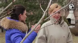 Дог-Star. Арина Шарапова