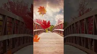 Осенняя открытка  #любовь  #осень #доброеутро #стихи