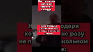 Самый полезный орган 