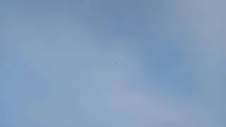 Голуби Казахстана Ертуган Алакол