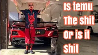 Is Temu the shit or is it shit?