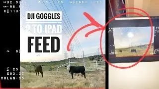 DJI Goggles 2 to ipad feed.