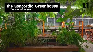 Concordia Greenhouse Forced to Close
