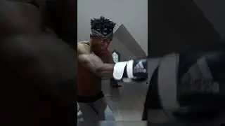Everyone is doing Raiden punching