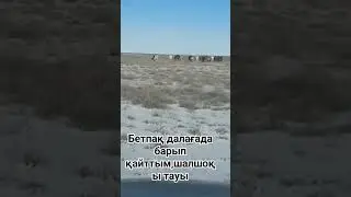 17 января 2024 г.