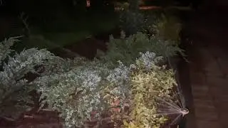 Автополив и освещение участка. Важный момент