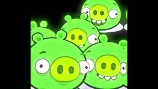 pavepepe hemobody │ sped up │ 1 hour │