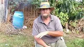 How to Grow Onions in Florida
