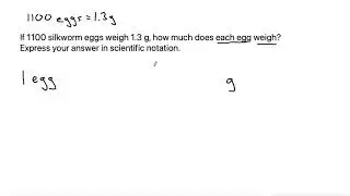 If 1100 silkworm eggs weigh 1.3 g, how much does each egg weigh?