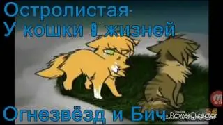 Какие песни в головах у котов воителей#2