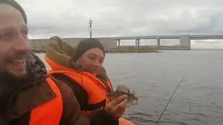 судак на дамбе. первый выезд.